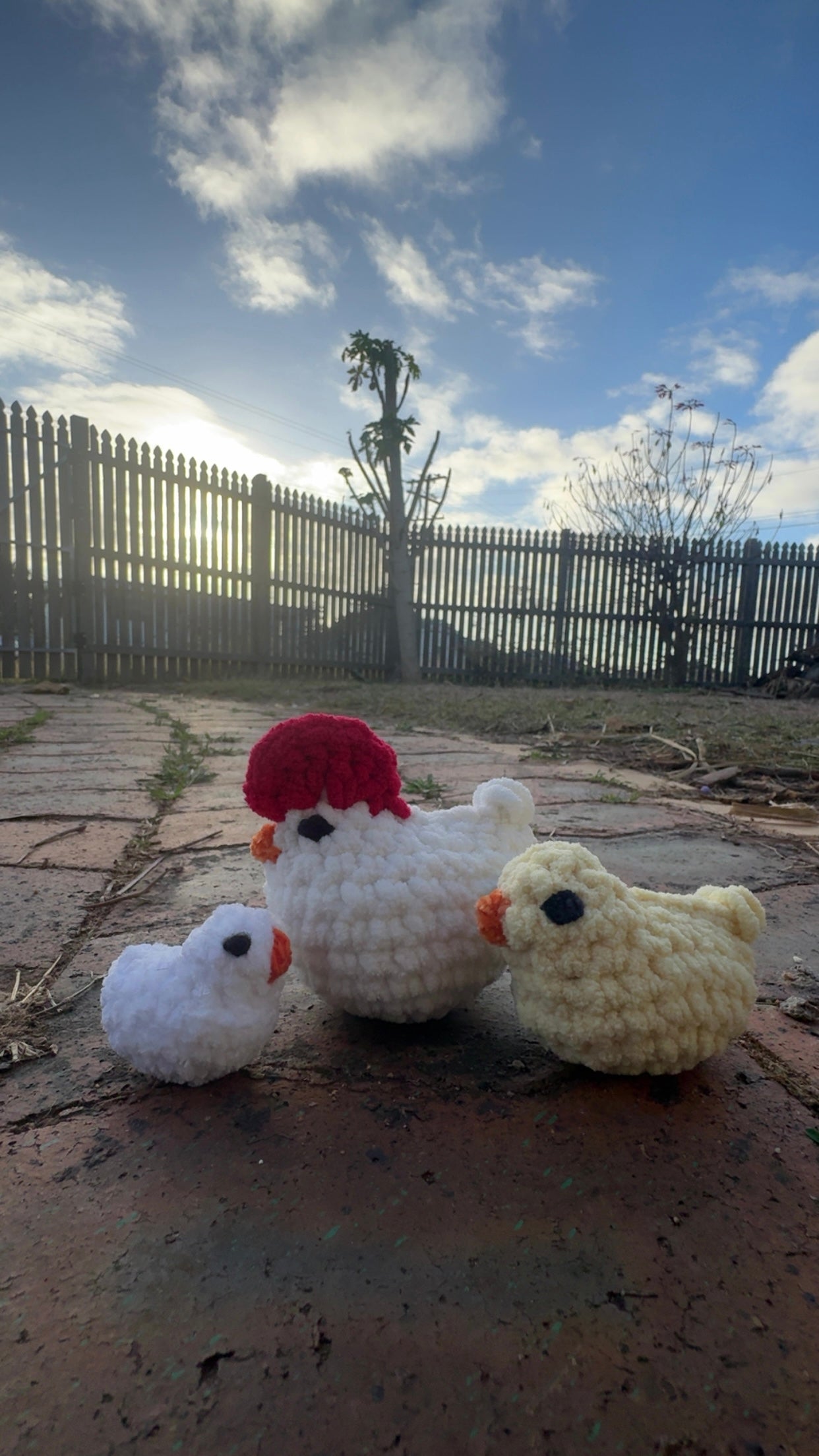 Squishie Chickens
