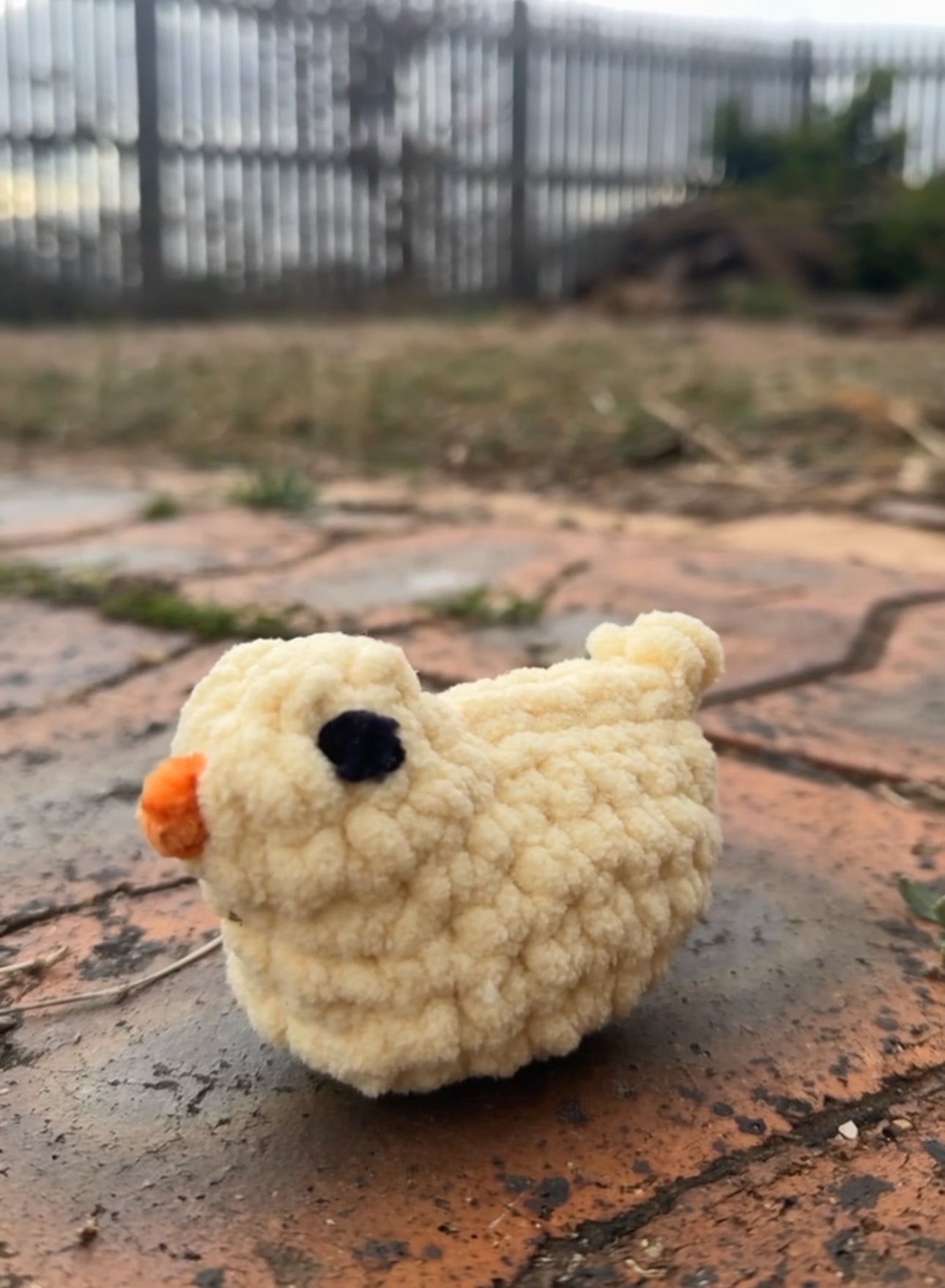 Squishie Chickens