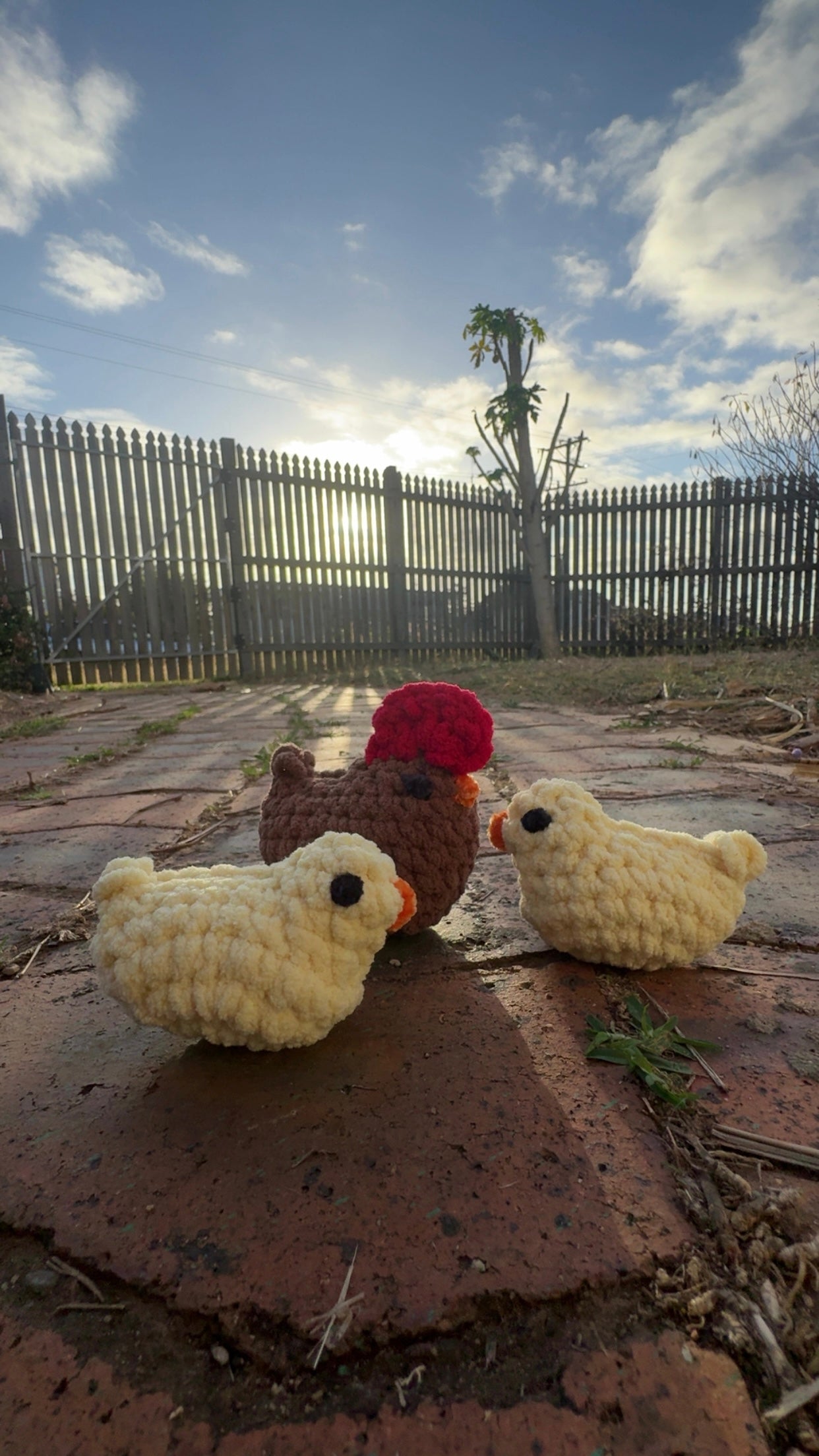 Squishie Chickens