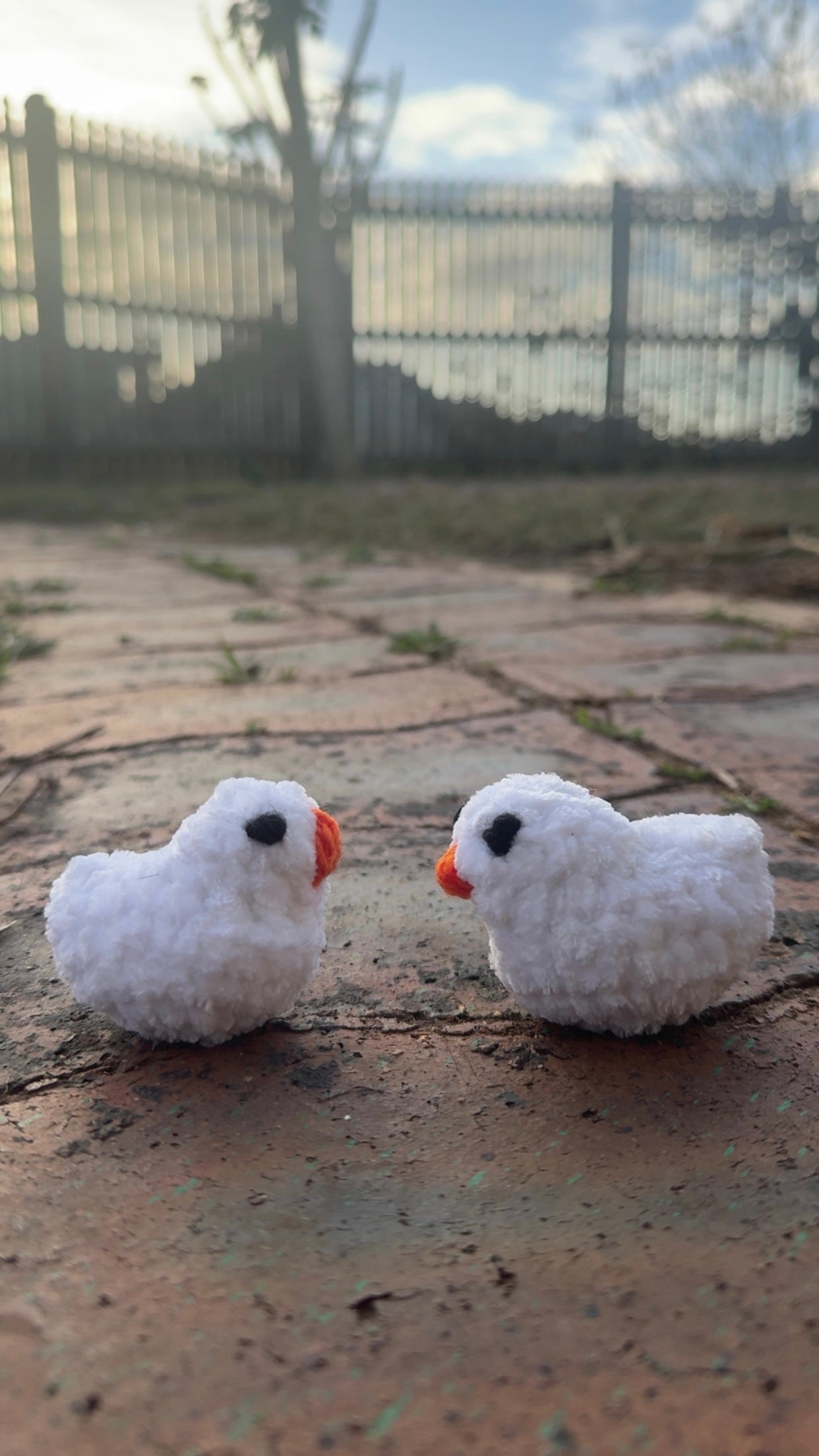 Squishie Chickens
